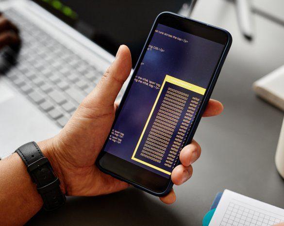 Custom Website Development